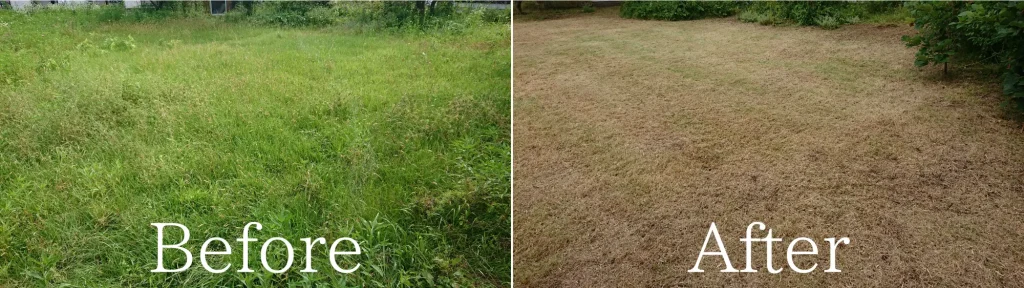 草刈りBefore・After画像