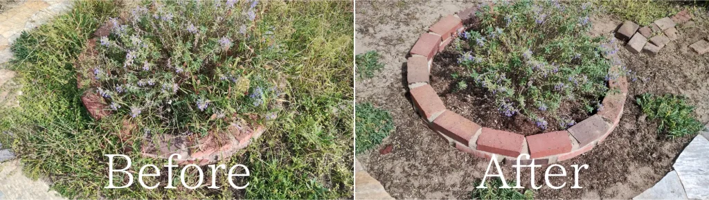 潟上市草取りBefore・After画像