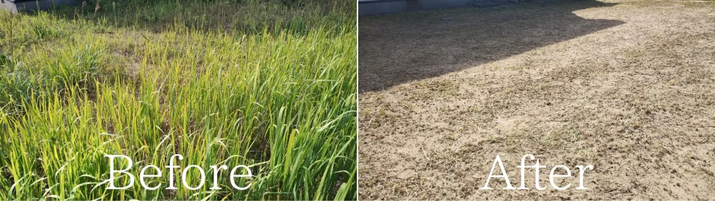 潟上市草刈りBefore・After画像