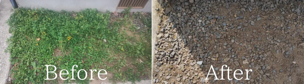 秋田市草取りBefore・After画像1