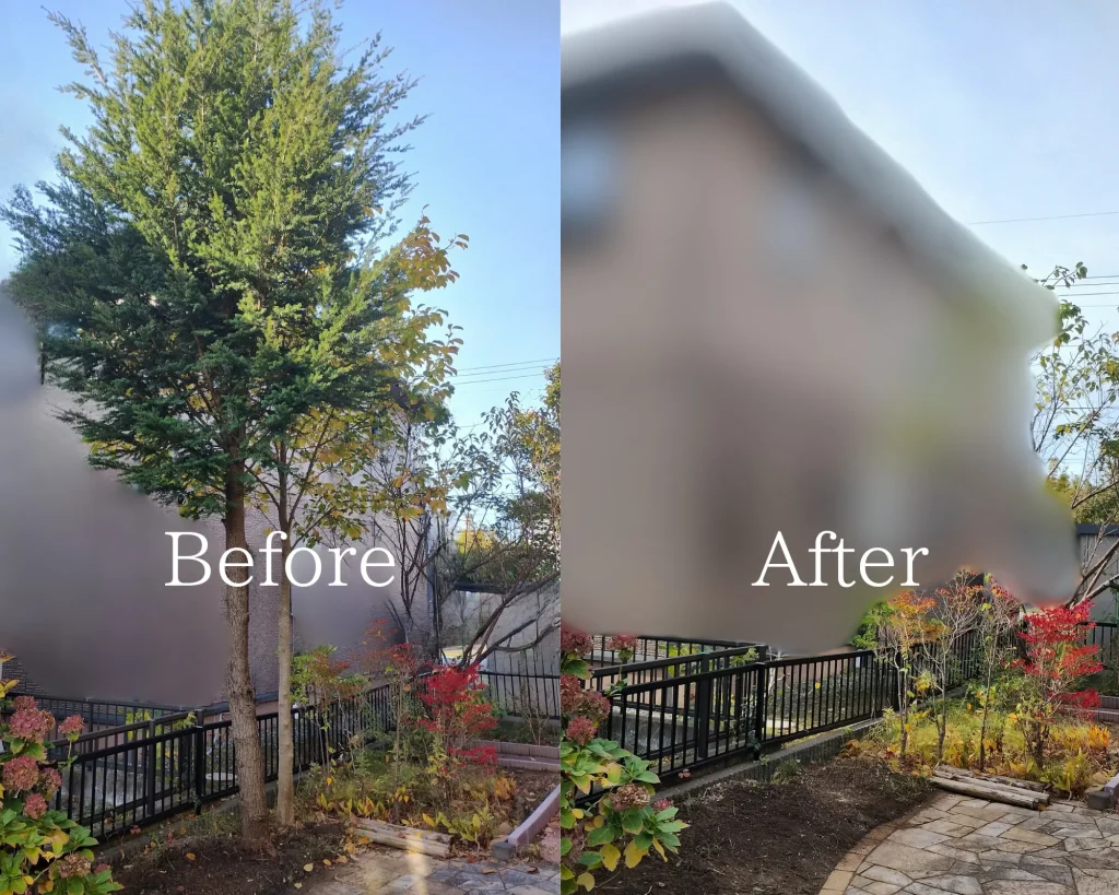 秋田市庭木伐採Before・After画像